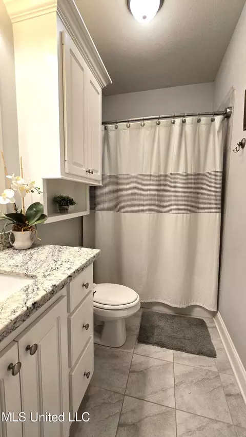 Bath - 331 Emerald Way, Brandon, MS 39047 photo 6 of 6