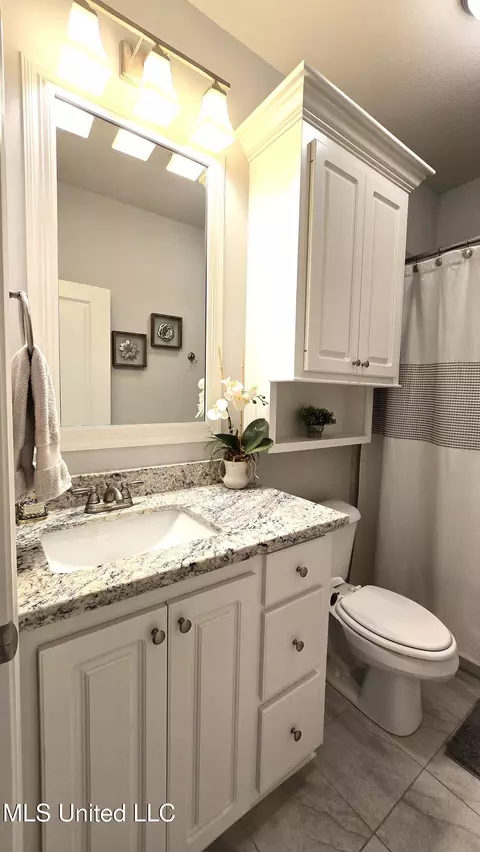 Bath - 331 Emerald Way, Brandon, MS 39047 photo 5 of 6