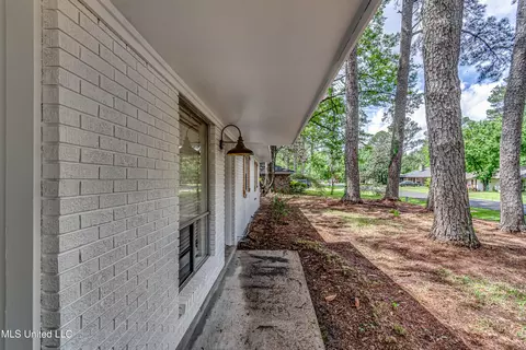 204 Turtle Creek Dr, Brandon, MS 39047 photo 10