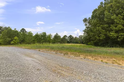 Stout Meadows Lane, Madison, MS 39110 photo 18