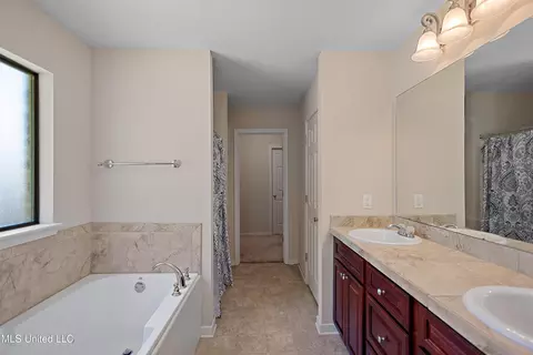 Bath - 217 Belle Chasse Cir, Jackson, MS 39212 photo 1 of 3