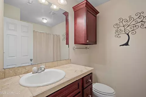 Bath - 217 Belle Chasse Cir, Jackson, MS 39212 photo 3 of 3