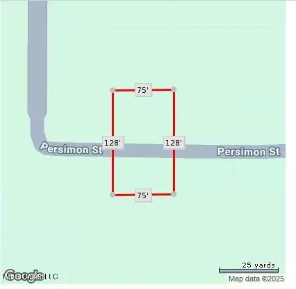 Persimmon Avenue, Ocean Springs, MS 39564