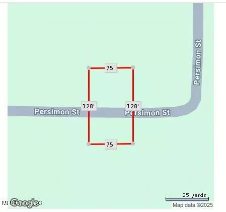 Persimmon Avenue, Ocean Springs, MS 39564