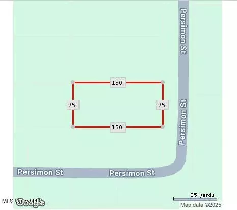 Persimmon Avenue, Ocean Springs, MS 39564