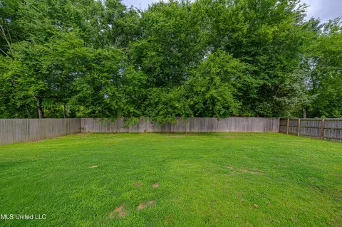 Exterior - 228 Falls Xing, Madison, MS 39110 photo 7 of 9