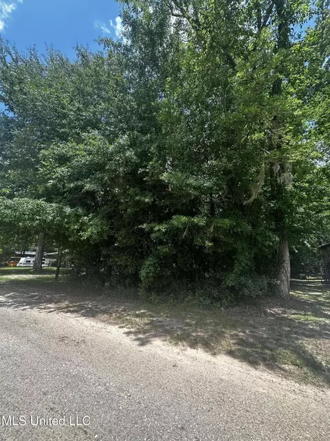 Nsn Plum Bluff Drive, Lucedale, MS 39452 photo 2