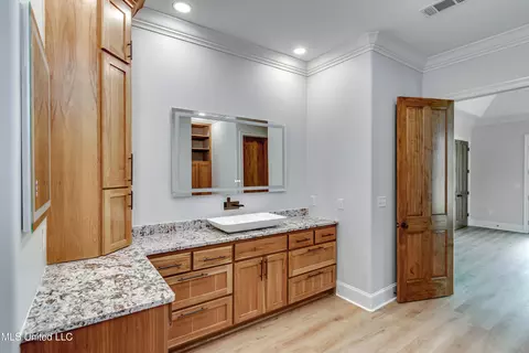Bath - 106 Horseshoe Ln, Flora, MS 39071 photo 8 of 10