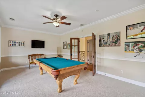 Other - 4666 Eiffel Ln, Nesbit, MS 38651 photo 9 of 12