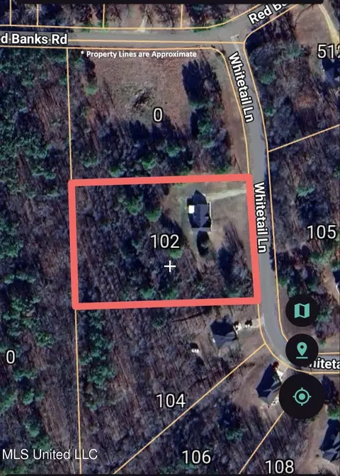 Other - 102 Whitetail Ln, Coldwater, MS 38618 photo 11 of 11