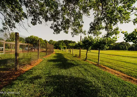 103 Hidden Lake Rd, Flora, MS 39071 photo 53