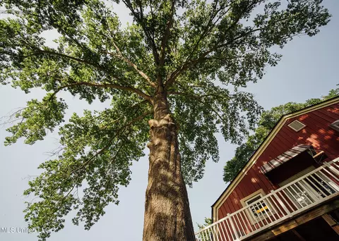 103 Hidden Lake Rd, Flora, MS 39071 photo 42
