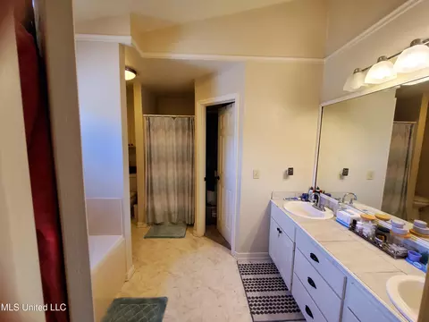 Bath - 829 Eagles Nest Dr, Byram, MS 39272 photo 2 of 3