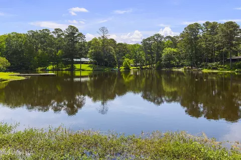 View/Area - 500 E Dewey Camp Dr, Florence, MS 39073 photo 6 of 9