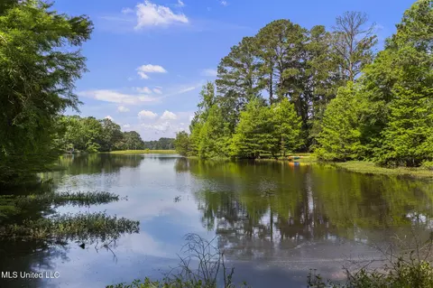 View/Area - 500 E Dewey Camp Dr, Florence, MS 39073 photo 7 of 9
