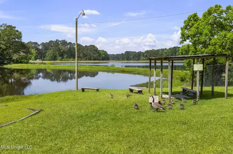 View/Area - 500 E Dewey Camp Dr, Florence, MS 39073 photo 2 of 9