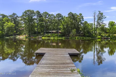 View/Area - 500 E Dewey Camp Dr, Florence, MS 39073 photo 3 of 9