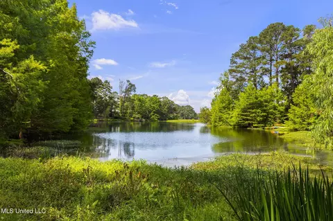 View/Area - 500 E Dewey Camp Dr, Florence, MS 39073 photo 8 of 9