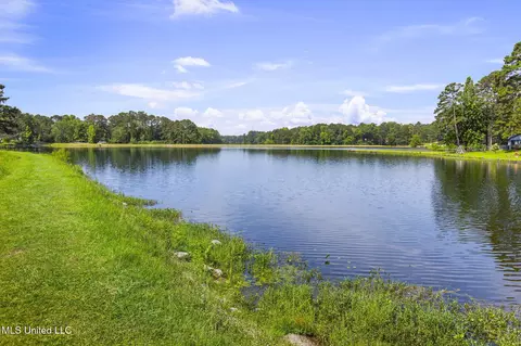 View/Area - 500 E Dewey Camp Dr, Florence, MS 39073 photo 5 of 9