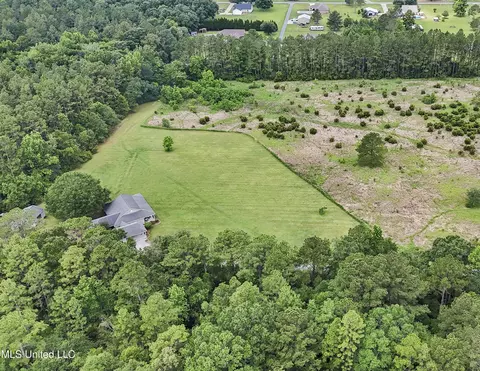 View/Area - 8100 Belle Etheridge Rd, Lucedale, MS 39452 photo 4 of 4