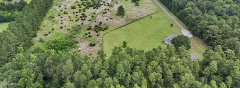View/Area - 8100 Belle Etheridge Rd, Lucedale, MS 39452 photo 3 of 4