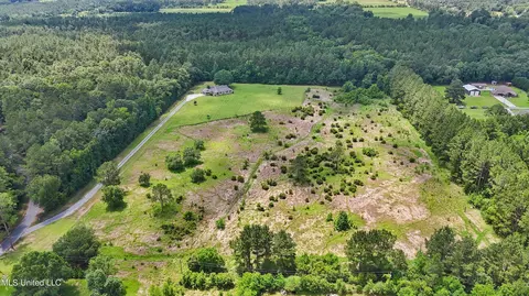 View/Area - 8100 Belle Etheridge Rd, Lucedale, MS 39452 photo 1 of 4