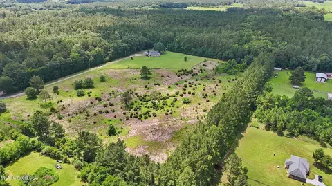 View/Area - 8100 Belle Etheridge Rd, Lucedale, MS 39452 photo 2 of 4