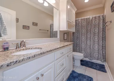 102 Camden Pte, Madison, MS 39110 photo 37