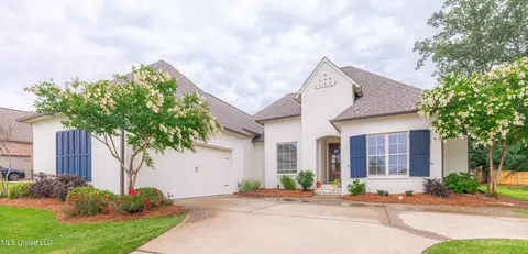 102 Camden Pte, Madison, MS 39110 photo 2