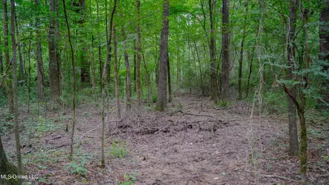 Oooo Big Creek Road, Byram, MS 39272