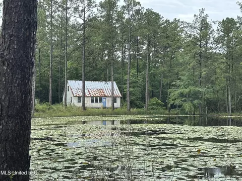 261 Tom Chance Rd, Poplarville, MS 39470