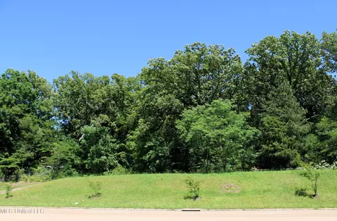 6606 Highway 305, Olive Branch, MS 38654