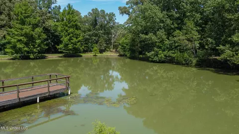 View/Area - 3501 Hwy 305, Hernando, MS 38632 photo 3 of 3