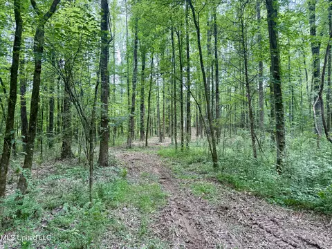 Stephens Rd, Durant, MS 39063 photo 4