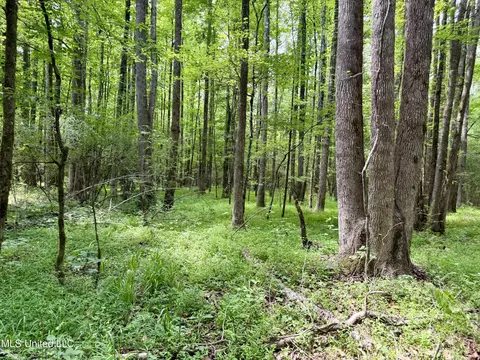 Stephens Rd, Durant, MS 39063 photo 15