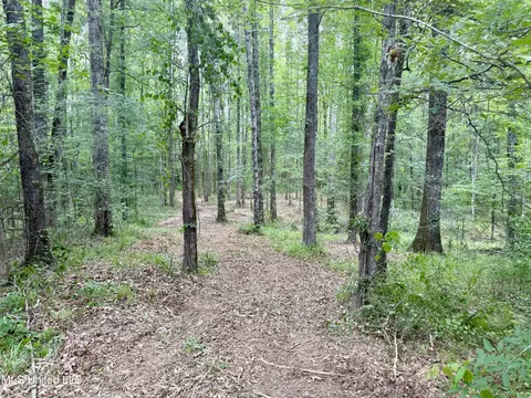 Stephens Rd, Durant, MS 39063 photo 7