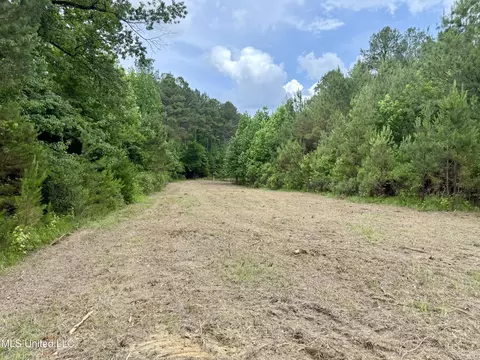 Stephens Rd, Durant, MS 39063 photo 8