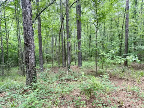 Stephens Rd, Durant, MS 39063 photo 10