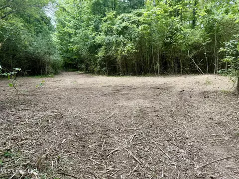 Stephens Rd, Durant, MS 39063 photo 3