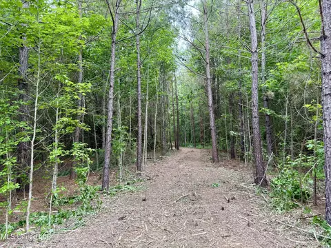 Stephens Rd, Durant, MS 39063 photo 9