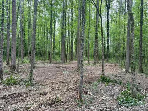 Stephens Rd, Durant, MS 39063 photo 6