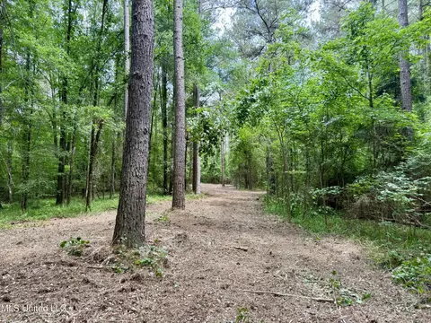 Stephens Rd, Durant, MS 39063 photo 2