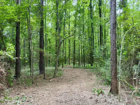 Stephens Rd, Durant, MS 39063 photo 13