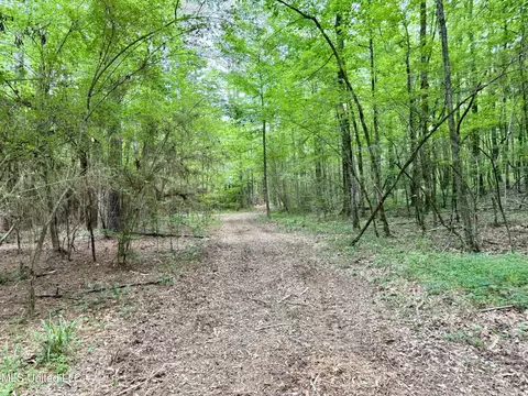 Stephens Rd, Durant, MS 39063 photo 16
