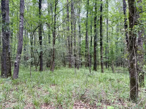 Stephens Rd, Durant, MS 39063 photo 11