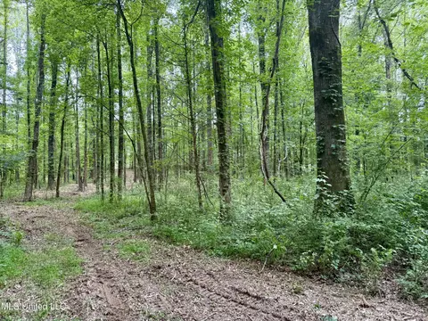 Stephens Rd, Durant, MS 39063 photo 5