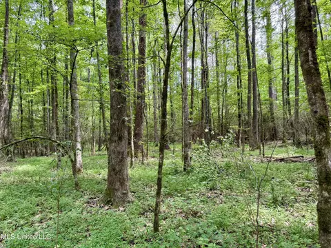 Stephens Rd, Durant, MS 39063 photo 14