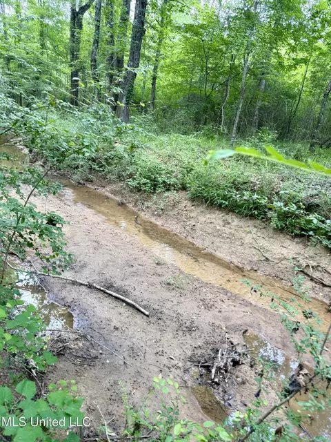 Stephens Rd, Durant, MS 39063 photo 17