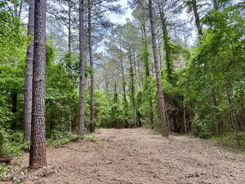 Stephens Rd, Durant, MS 39063 photo 12