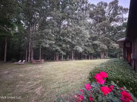 Exterior - 171 Brookstone Way, Madison, MS 39110 photo 8 of 11